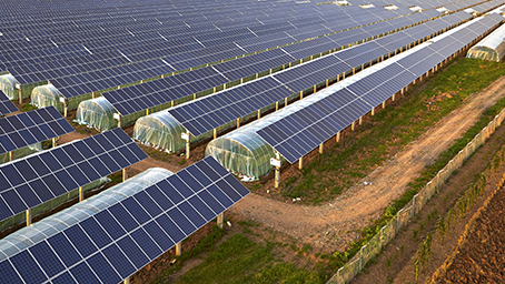 Overlooking the solar photovoltaic panels and agricultural planting temperature shed; Shutterstock ID 686542702