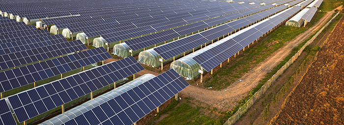 Overlooking the solar photovoltaic panels and agricultural planting temperature shed; Shutterstock ID 686542702