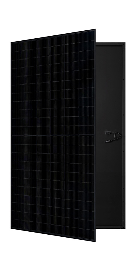 650W 210 Pure Black P-type Monofacial Module